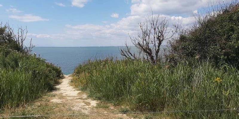 beach path 